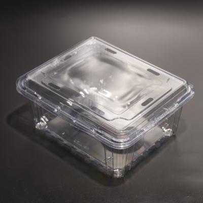 Rectangular Food Packaging Plastic Container PET Eco Friendly Food Storage Containers
