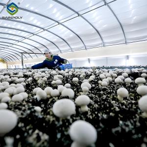 Electrical Control Mushroom Growing Greenhouse With Hot Galvanizing Pipe