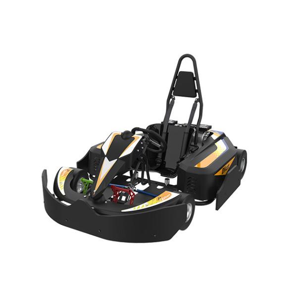 4 колеса управляют электрическим идут Kart 12Nm быстро идут Karts для взрослых