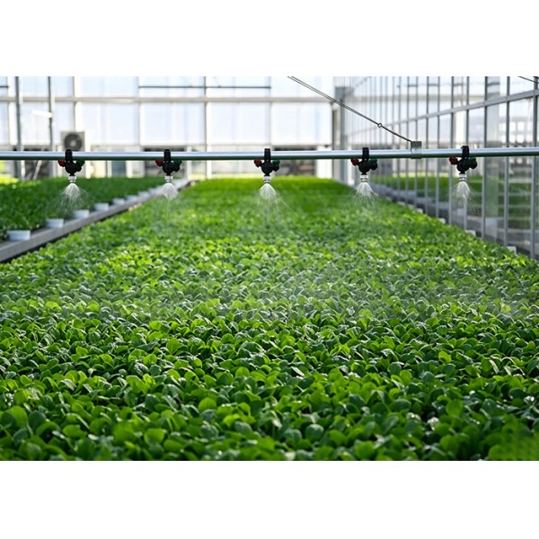 Automatic Self-Propelled Boom Sprinkler Irrigation Machine for Greenhouse