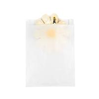 Eco Friendly Grease Resistant Glassine Paper Bags For Household Products