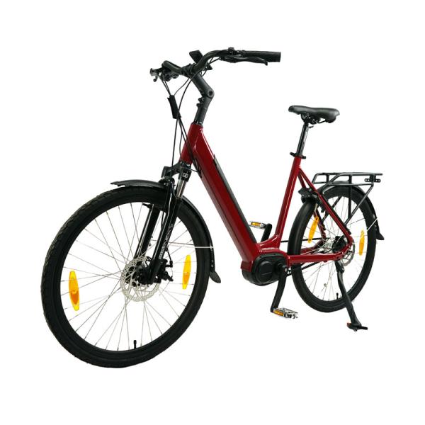 Electric Bicycle for Adults Fast Speed Customized Design and 1-3 Hours Charging Time