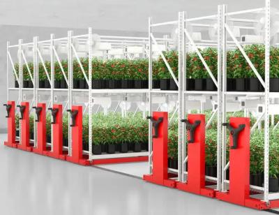 Hydroponic Stackable 4x8 Ebb And Flow Table For Agricultural