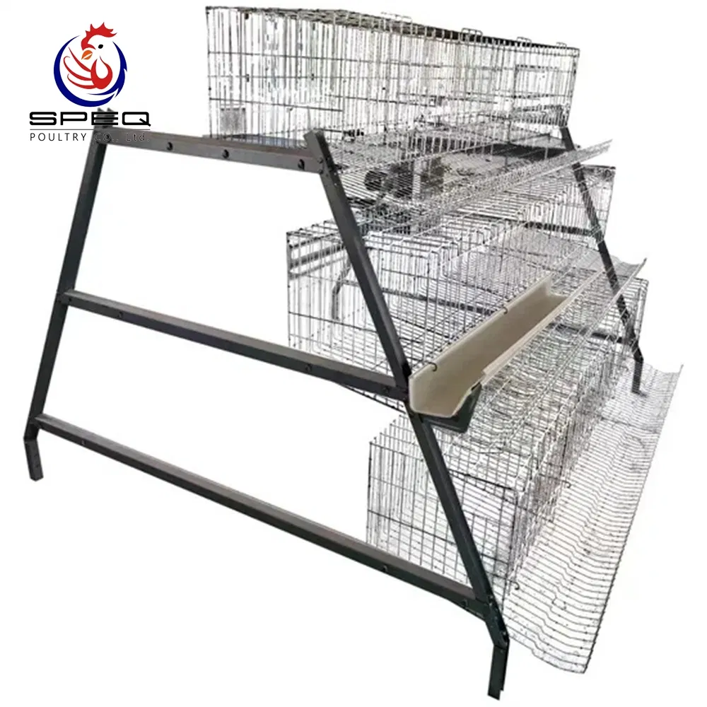 Poultry Farm Chicken Coop House A Type Hot Dipped Galvanized Layer Cage