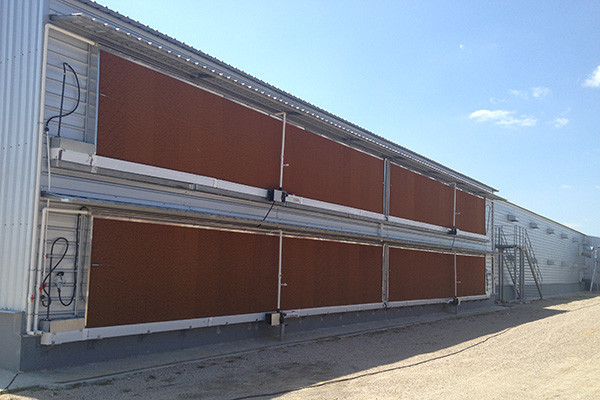 Pre Engineered Steel Chicken House Q355B Steel Structure Poultry Sheds