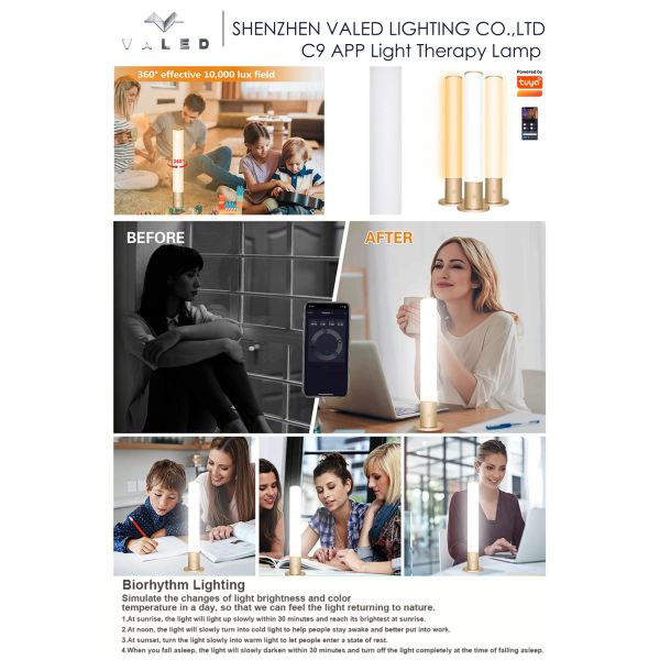 APP Control Smart Sad Lamp 6 Watt LED Sunlight Lamp 2700K - 6500K