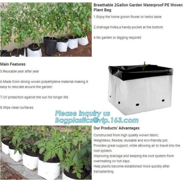 Planter Bags, Grow Bags, Cultivating Bags, Nursery Pot, Greenhouse, Agricultural Film,  Horticulture Garden