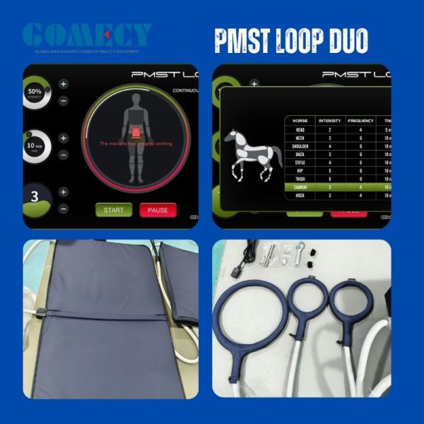 pmst Loop Duo Big Applicator Magnetic Therapy Pulsed Field Device for Physiotherapy Care Pain Management and Healing Therapy