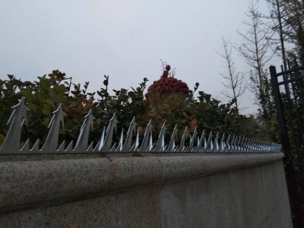 Steel Large Size Anti - Climb Wall Spikes Bird , Durable Metal Wall Spikes