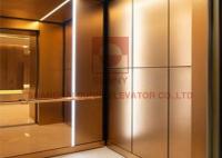 elevador da casa de 450kg 0.4m/S com serviço profissional na construção do negócio na série do elevador