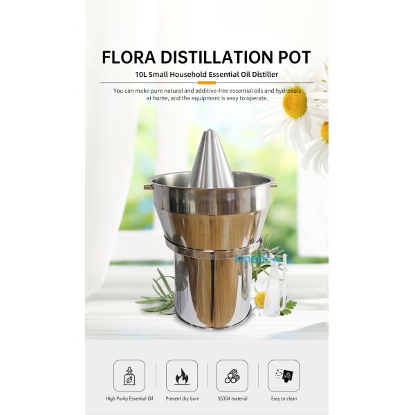 10L Supercritical Co2 Extraction Machine Popular Sale for Lemongrass Steam Distillation and Eucalyptus Oil Extraction