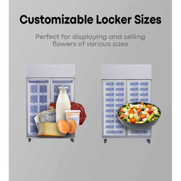 Egg Locker Vending Machine suitable for community based fresh food pickup points poultry farms and local market sales channels