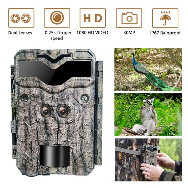 a lente 4K dupla mantém a câmera de caça exterior da visão de Trail Camera Night do protetor