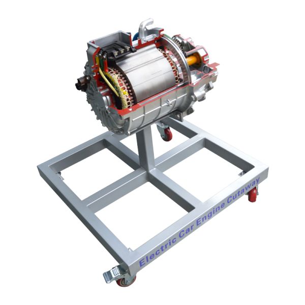Anatomical Model of Drive Motor Educational Equipment