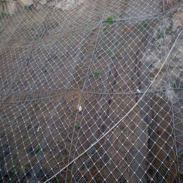 Perforated Technique Stainless Steel Wire Mesh Fence Railing Safety Net for Protection