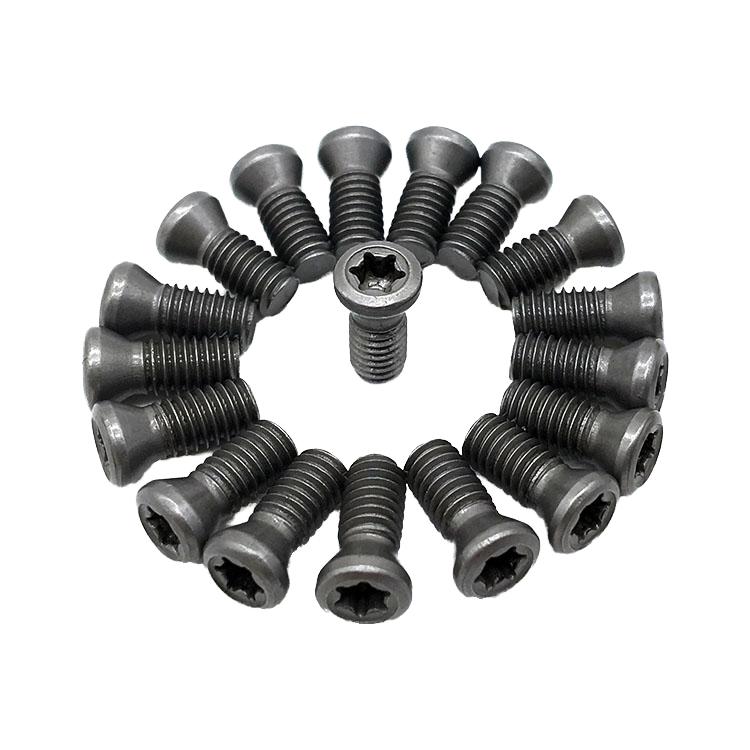 M2 M3 M4 M5 M6 Round Head Torx Screw For Carbide Turning Tools CNC Holder