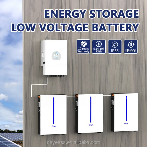 Deye RW-M6.1 LiFePO4 51.2V 100Ah 120Ah 5.53KWH Energy Storage Wall-Mounted Solar System 6.14KWH Hv Battery From Deye Power