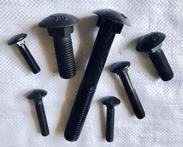 ISO9001 Certified Stainless Steel Carriage Bolt DIN603 for Steel Industry