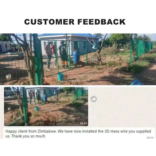 Powder Coated 3D Bending Fence Farm Protective Hot Dipped Galvanized