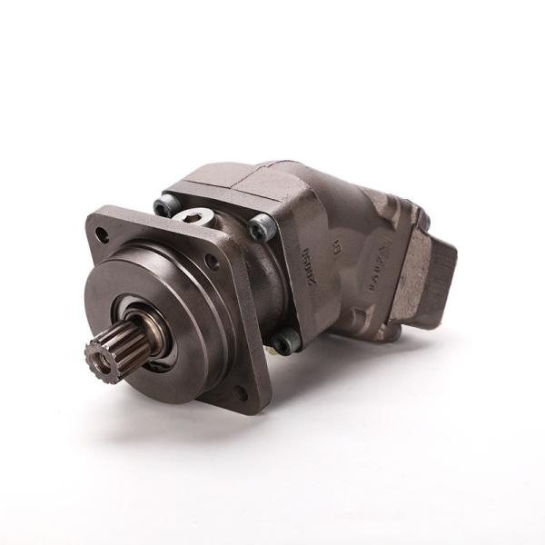 A2fo Hydraulic Motor for A2fo12 A2fo16 A2fo23 A2fo32 A2fo56 A2fo63 A2fo80 A2fo107 A2fo125 A2fo160 A2fo200