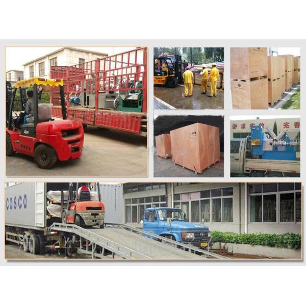 Automatic Grade High Yield Canola Oil Extraction Machine for Home Oil Press/Coconut Oil Squeezer