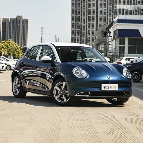 Electric Funky Good Ev Ora Cat Compact Car Unky Cat Luxury Ternary Lithium Battery Ev 2024 Mini Vehicle High Speed Energy Car