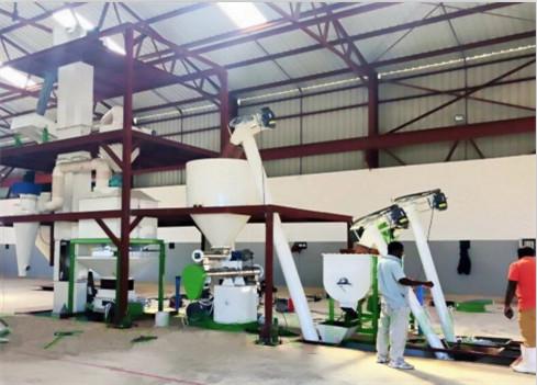 1-2TH Animal poultry livestock Chicken Pig Cattle Horse Feed Pellet Production Line