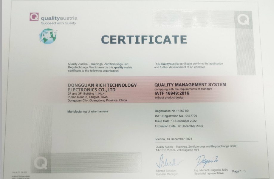 Dongguan Rich Technology Electronics Co.,Ltd Сертификации