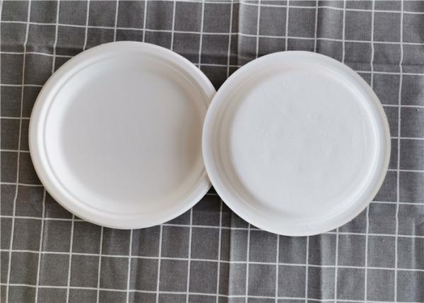 15g 9 Inch Round  Sugarcane Bagasse Disposable Tableware