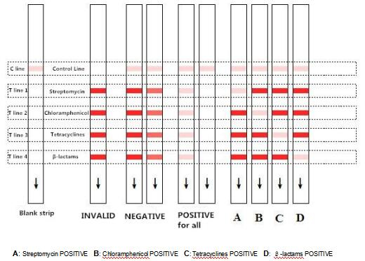 12 Months Antibody Test Strips Streptomycin And Chloramphenicol Combo