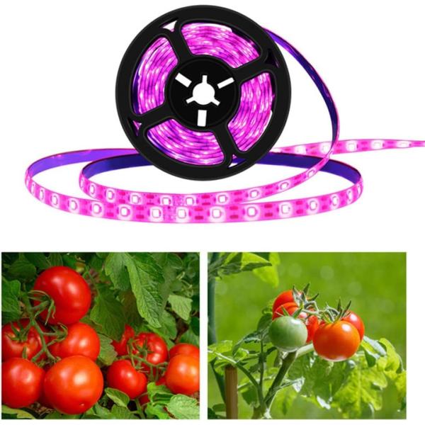 LED Grow Light Strips,Waterproof Full Spectrum Plant Grow Light, USB 16ft 300LEDs