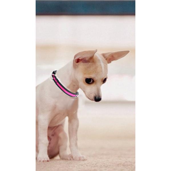 C602 Wholesale Airmesh Adjustable Pet Product Custom Dog Collar Soft