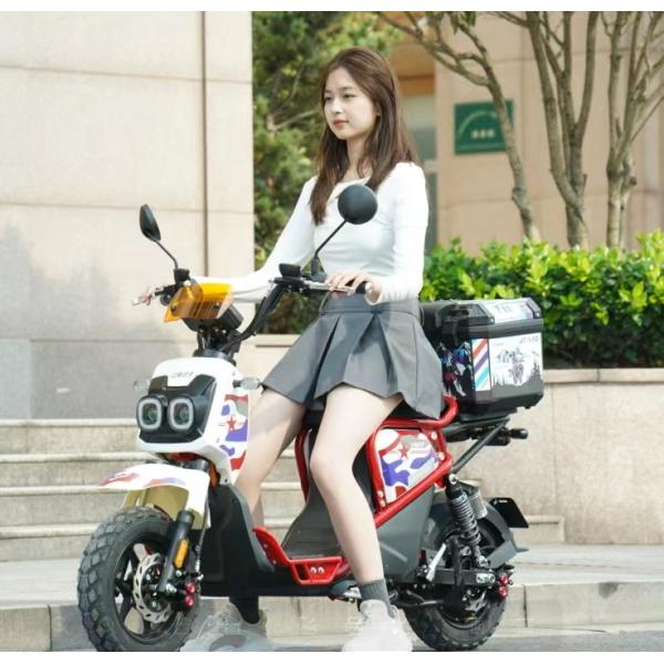 1200w Lithium Battery Electric Car for Adults 2024 Motorcycle Type Touring Motorcycles Max. Speed 61 80km/h Two-Wheel