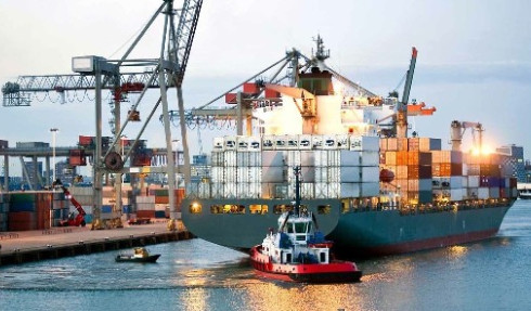 Premium Customs Declaration Service , China To USA Customs Clearance Services