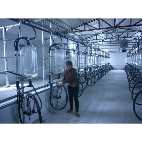 HL-G1 Herringbone Structure Milking Parlor with Glass Milk Meter CE ISO SGS FDA Certified
