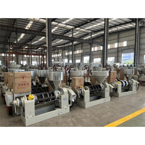 Automatic Control Cold Press Oil Extraction Machine Commercial Cold Oil Press Machine