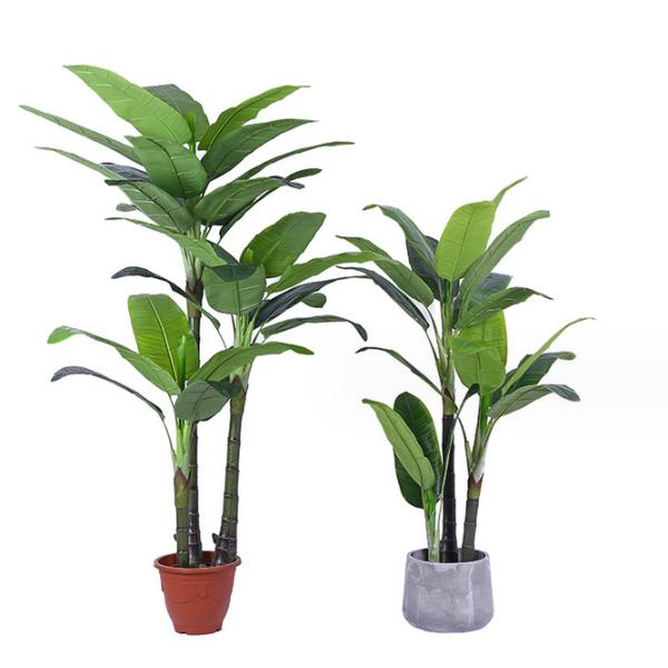 Вечнозелёное растение больших листьев искусственное покидает заводы пола Japonica