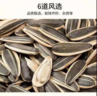 Ano Novo Chinês Fábrica por atacado Coco Saborizado Sementes de girassol assadas