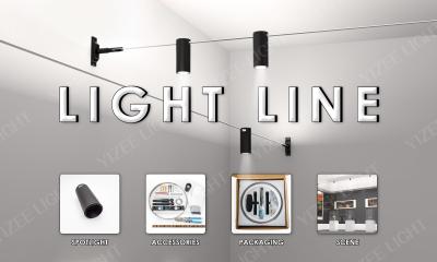 6m 12m New Skyline Linear Lighting With Spot Lights For Accent Lighting