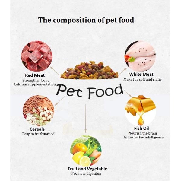 aliments pour chiens automatiques de 380v 50Hz Kibble faisant la machine