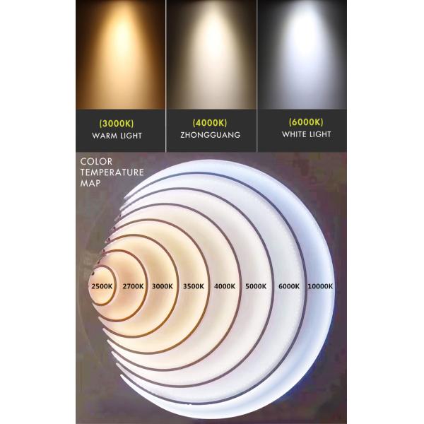 50W COB LED Chip 24V 1.8A 19x19mm for Street Light