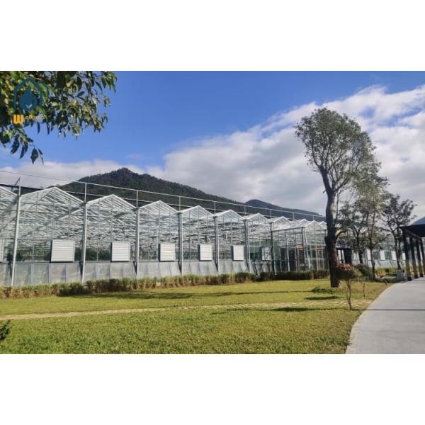 Turnkey Multi Span Greenhouses Agricultural Tomato Plant Greenhouse Large Size
