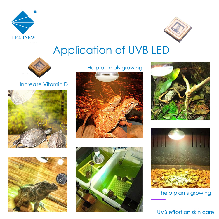 обломок 310nm 300nm СИД 120deg гермицидный 1W 10-15mW UVB для лампы Phototherapy