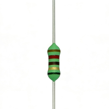 2WS Fusible Resistors Wire Wound Power Resistor