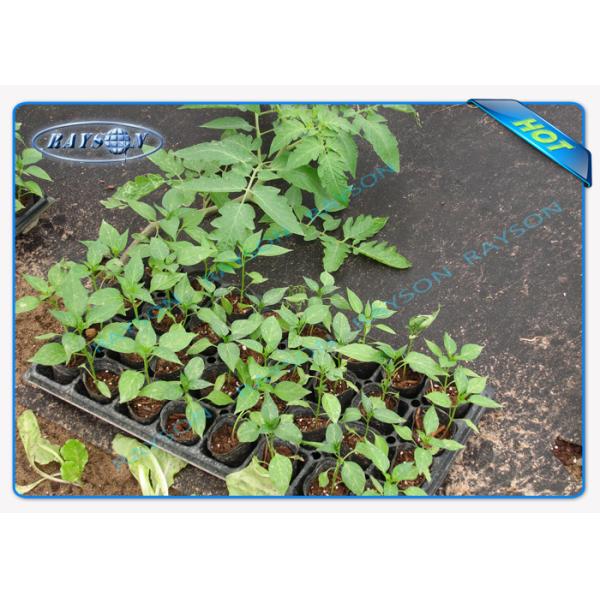 3 Oz Black Non Woven Landscape Fabric Spunbond Nonwoven Fabric Biodegradable