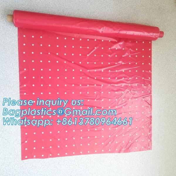 Pe Mulch Film With Holes For Agriculture Perforated Red Plastic Mulch For Peppers Crop Cover For Tomatoes