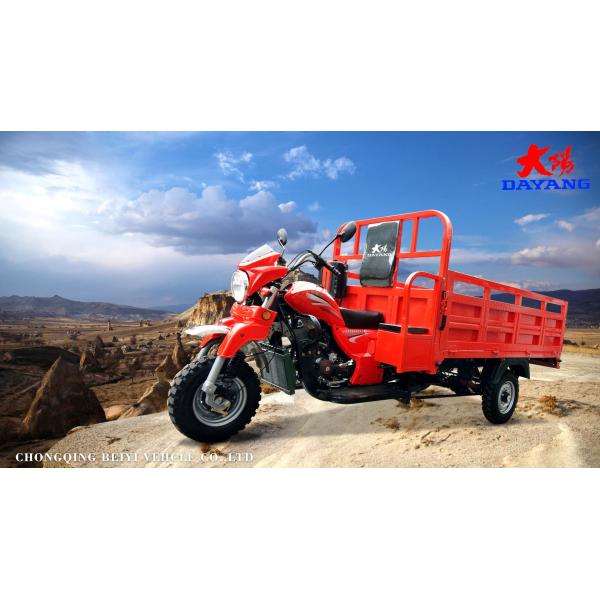 2022 Adults Home Farm Gas Powered Heavy Duty Cargo Vehicle Tricycle with 1000W Power