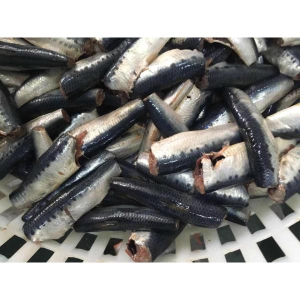 Сардины отпускной цены HGT естественной поливы самые лучшие свежие замороженные для консервировать