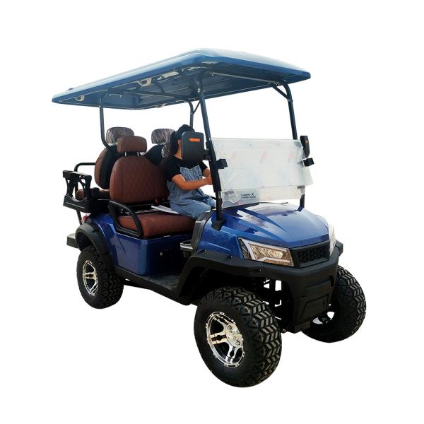 2+2 сиденья Электрическая тележка для гольфа 4 сиденья Дом Макферсон Подвеска Роскошная Фабричная цена Продажа