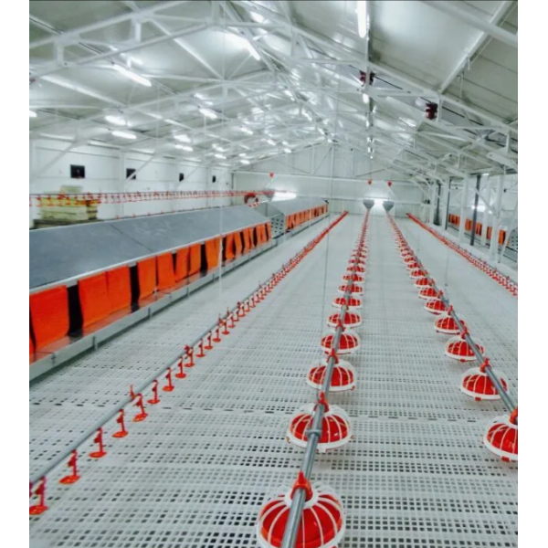 Customized Corrosion Resistant Poultry Farm Ventilation System with Hot-Dip Galvanized Steel and Easy Assembly